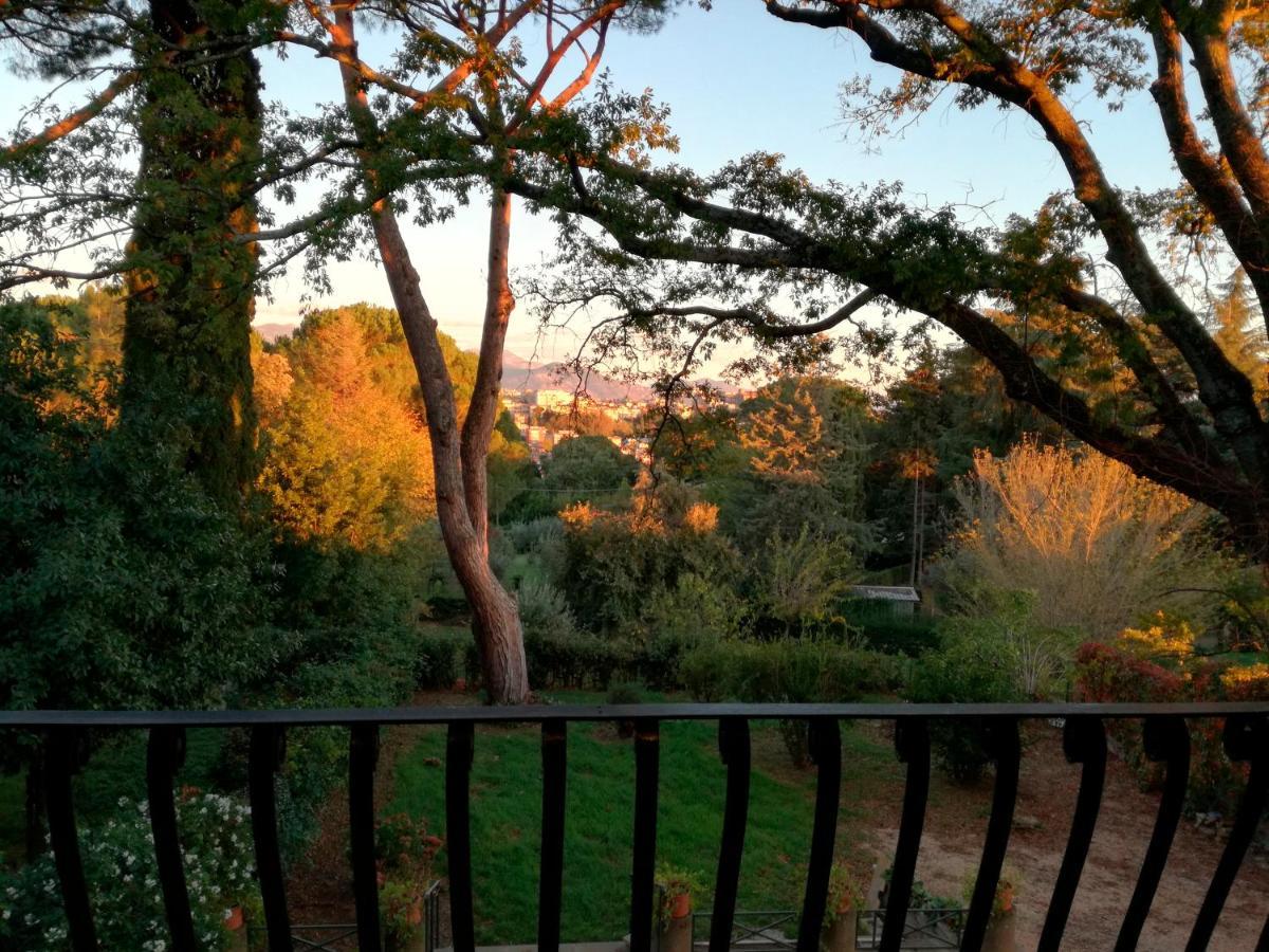 Vigna Dell'Agrifoglio - Bed And Breakfast Velletri Exterior foto