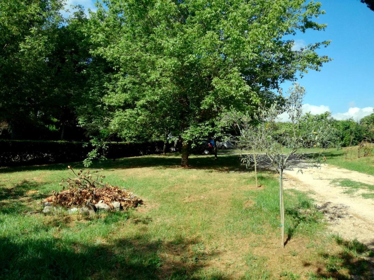 Vigna Dell'Agrifoglio - Bed And Breakfast Velletri Exterior foto