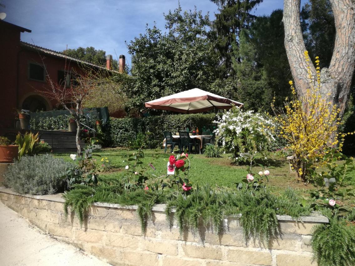Vigna Dell'Agrifoglio - Bed And Breakfast Velletri Exterior foto