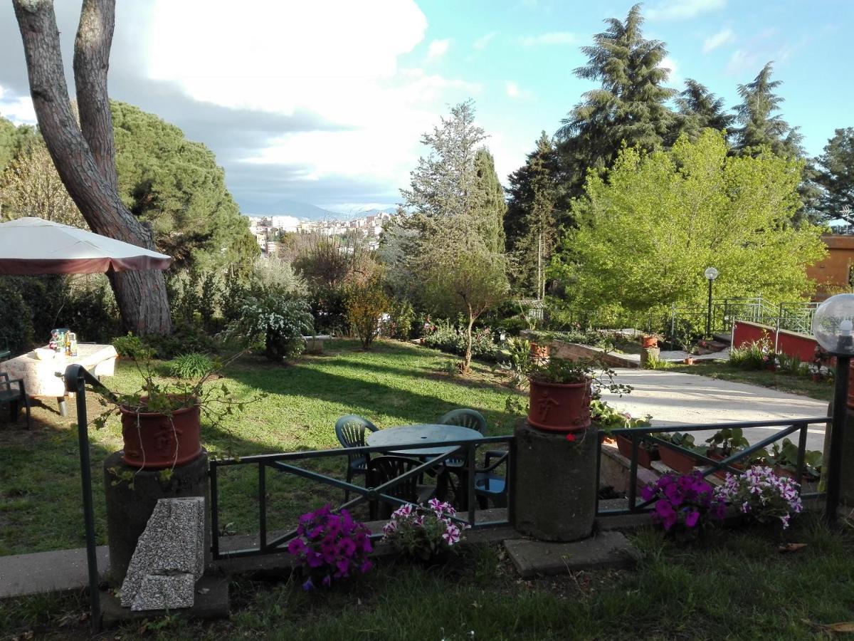 Vigna Dell'Agrifoglio - Bed And Breakfast Velletri Exterior foto
